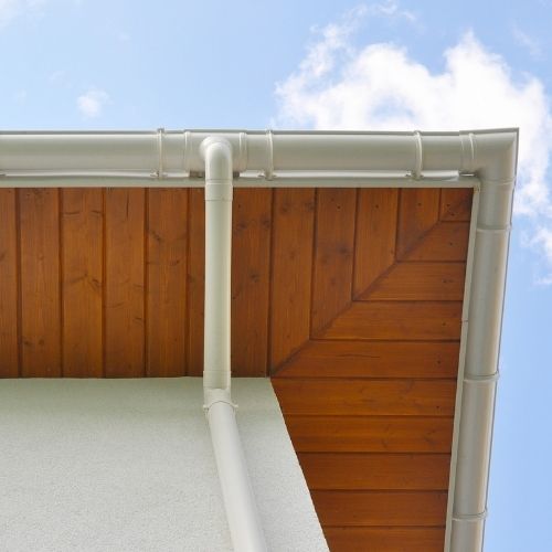 Pakalimo dailylentės